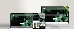 Pachamama paysage, Akweb créateur de site web