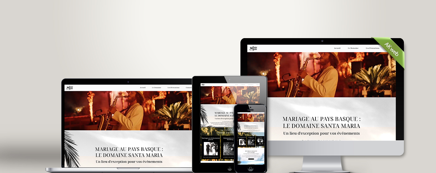 Stratégie SEO Domaine Santa Maria